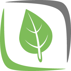 Arborist Service