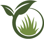 Arborist Service