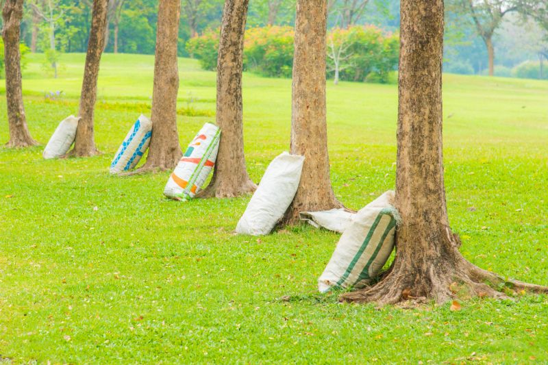 Tree Fertilization Service - Arborist Service Murfreesboro, Tennessee