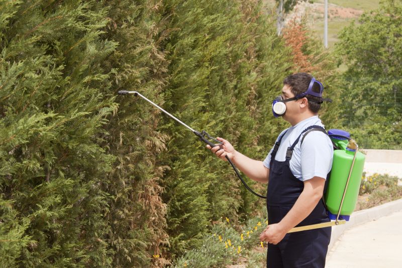 Tree Pest Control Service - Arborist Service Fort Lauderdale, Florida